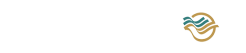 لوگو سایت سفید